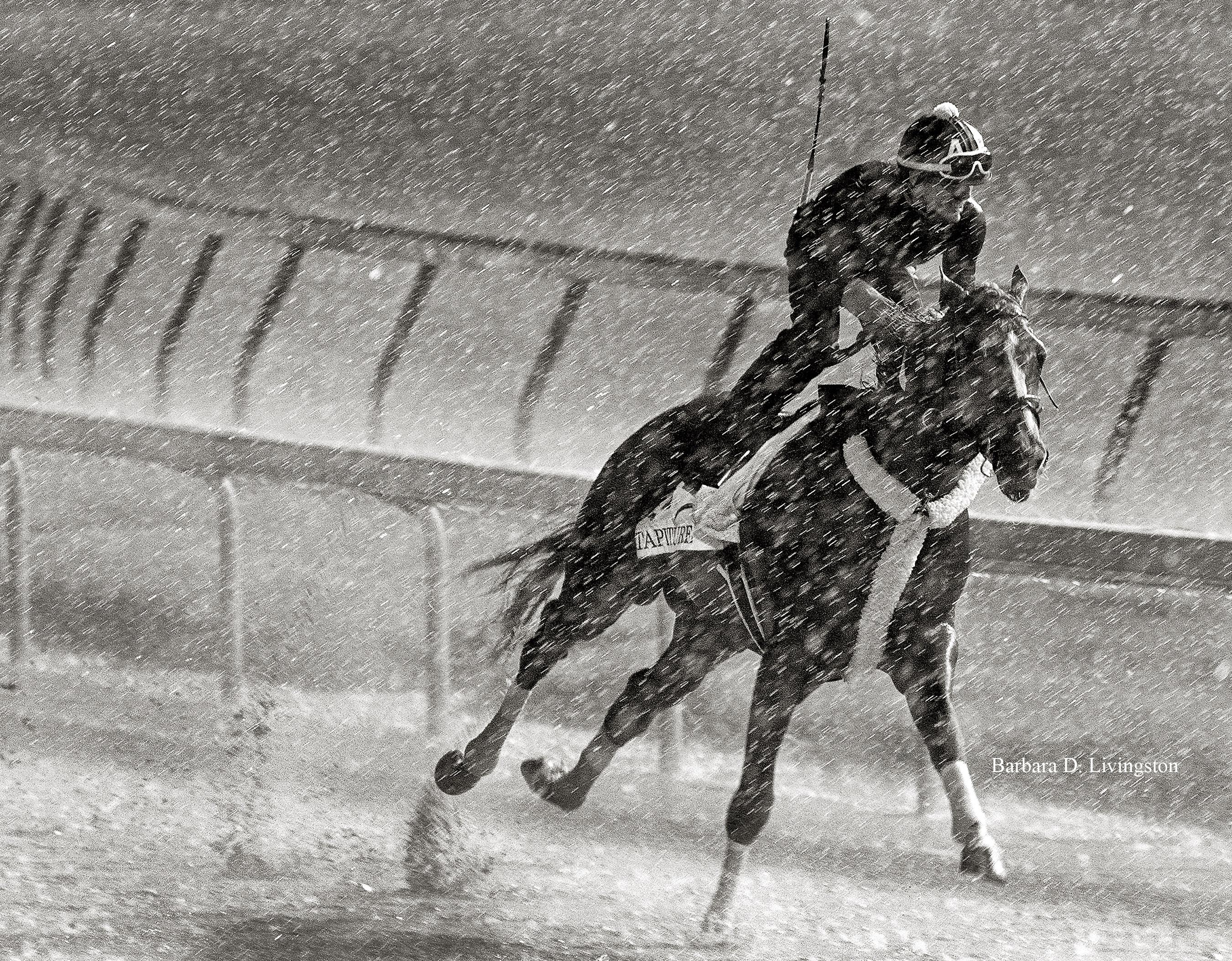 Livingston's 2014 Eclipse Award-winning photo of Tapiture.